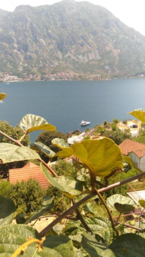 Hotels in Risan